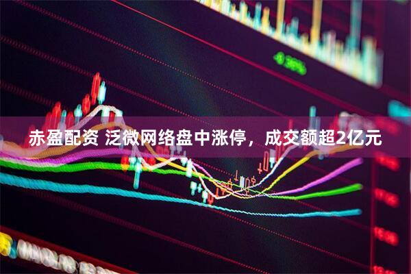 赤盈配资 泛微网络盘中涨停，成交额超2亿元
