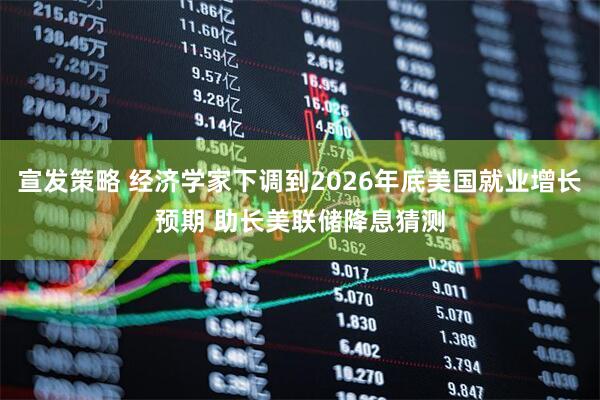 宣发策略 经济学家下调到2026年底美国就业增长预期 助长美联储降息猜测